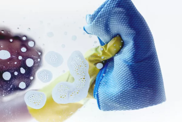 Impronta Pulizie Bologna